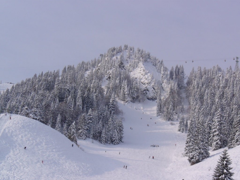 Images/024 P1020581.jpg